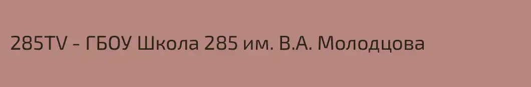 285TV - ГБОУ Школа 285 им. В.А. Молодцова